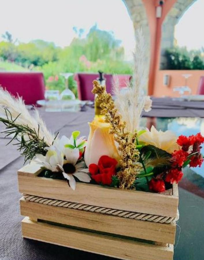 Le Stanze Del Brigante Bed & Breakfast *